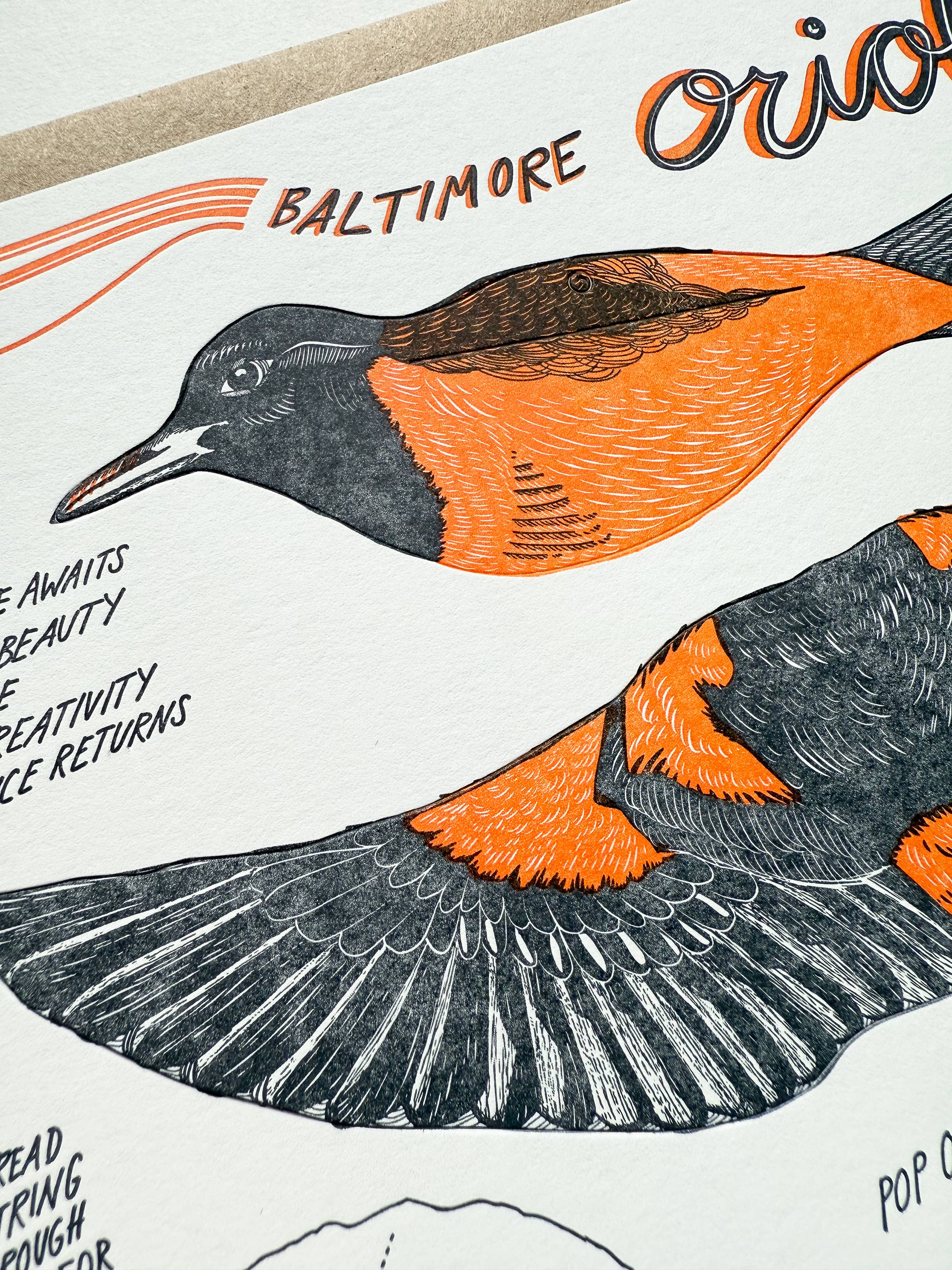 Blackbird Letterpress – wholesale Everyday greeting card – oriole pop-out bird card2