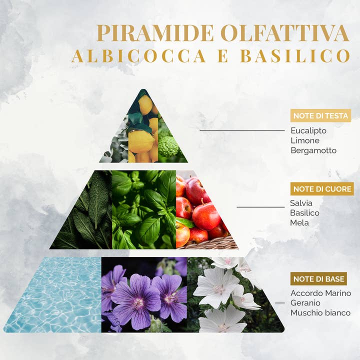 Logevy Firenze 1965 - Wholesale Room & linen spray - Apricot and Basil Room Fragrance Spray 75ml2