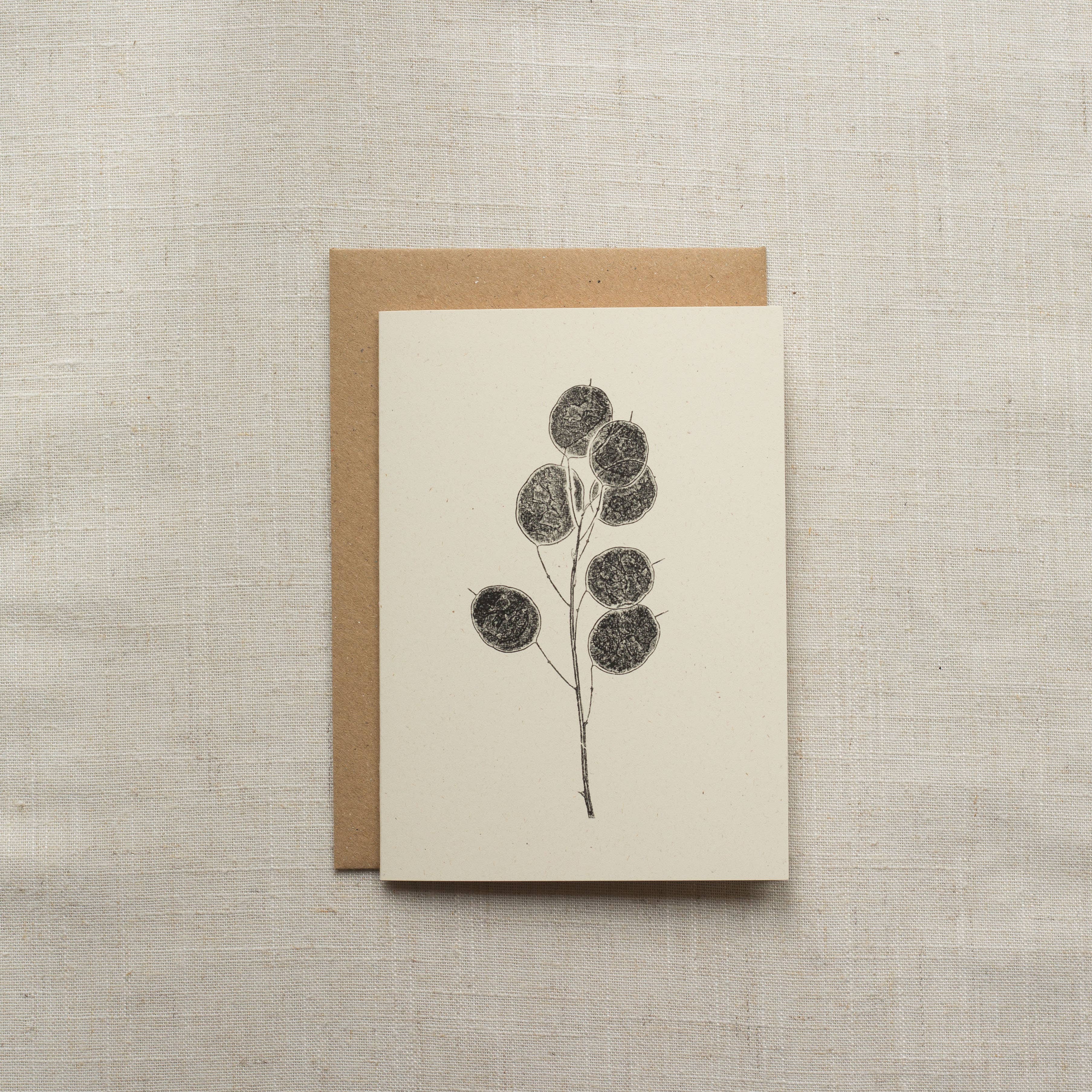 Alicia Breakspear - Wholesale Everyday Greeting Card - Honesty Pods Floral Greeting Card A6 Recycled Card 1