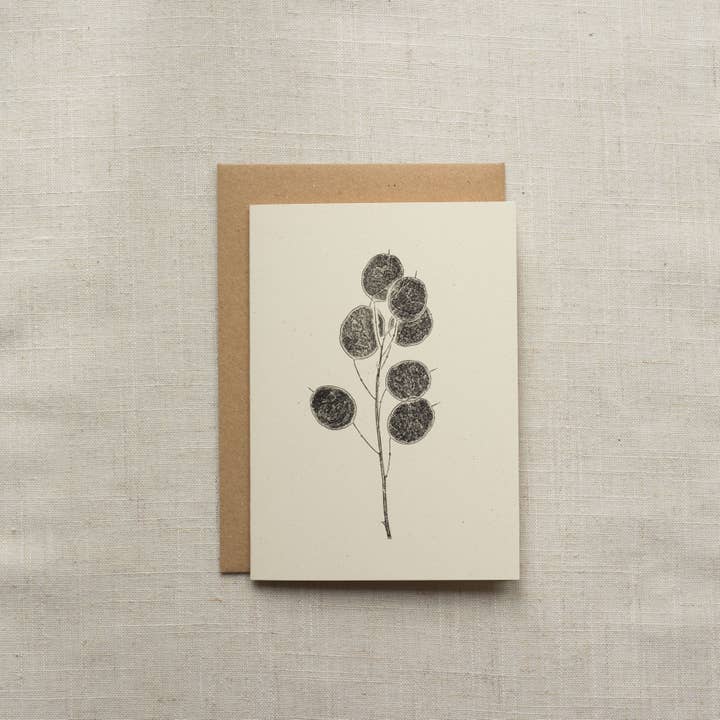 Alicia Breakspear - Wholesale Everyday Greeting Card - Honesty Pods Floral Greeting Card A6 Recycled Card 1