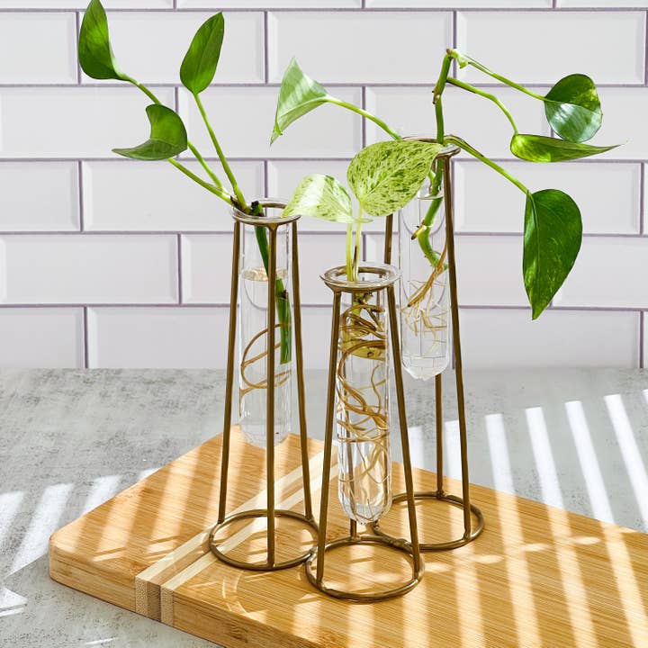 Kate Aspen - Wholesale Vase - Test Tube Flower Vase