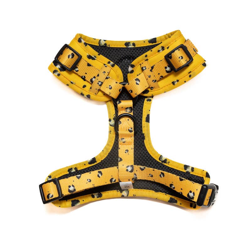 Long Paws - Wholesale Pet Harness - Dog - Funk The Dog Harness | Mustard Panda5