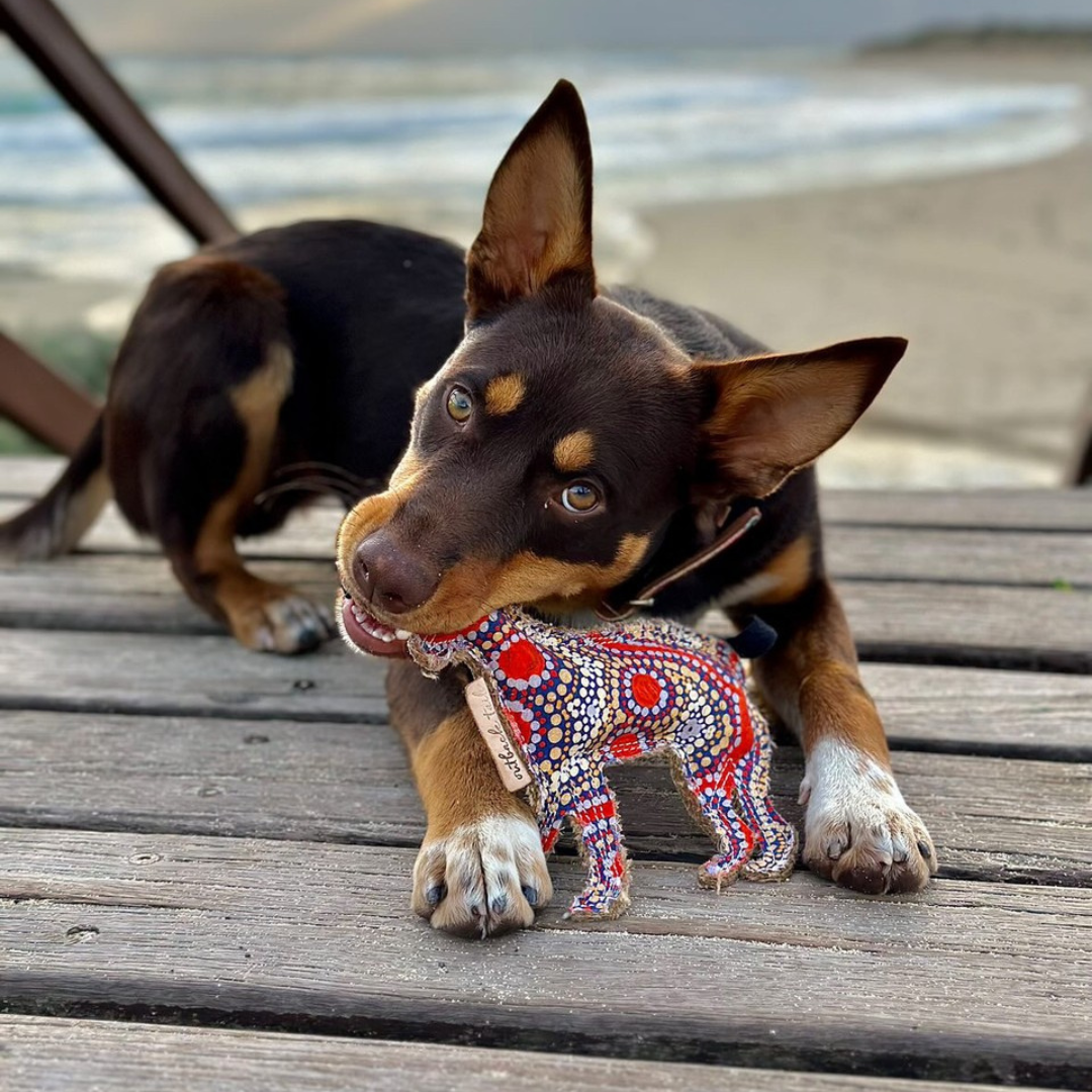 Outback Tails - Wholesale Kauwspeeltje voor honden - Hond - Kauwspeeltje voor honden in de woestijn - Trevor1