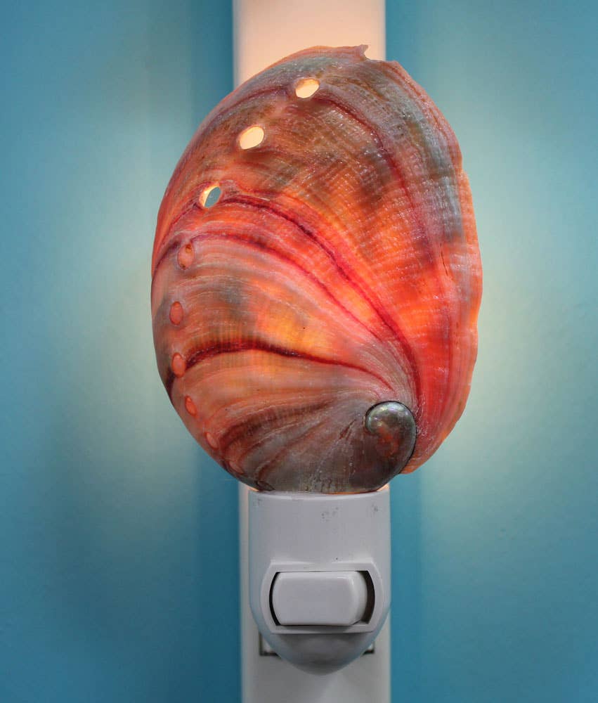 California Seashell Company - Wholesale Night Light - Natural Red Abalone Seashell Night Light1