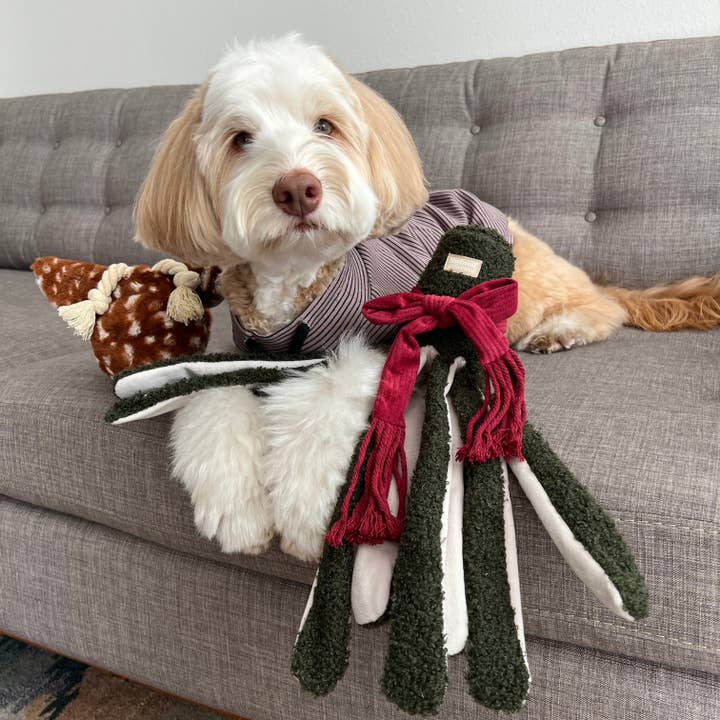 Lambwolf Collective - Wholesale Pet Squeaky Toy - Dog - TAKO//ENRICHMENT DOG TOY / HOLIDAY1