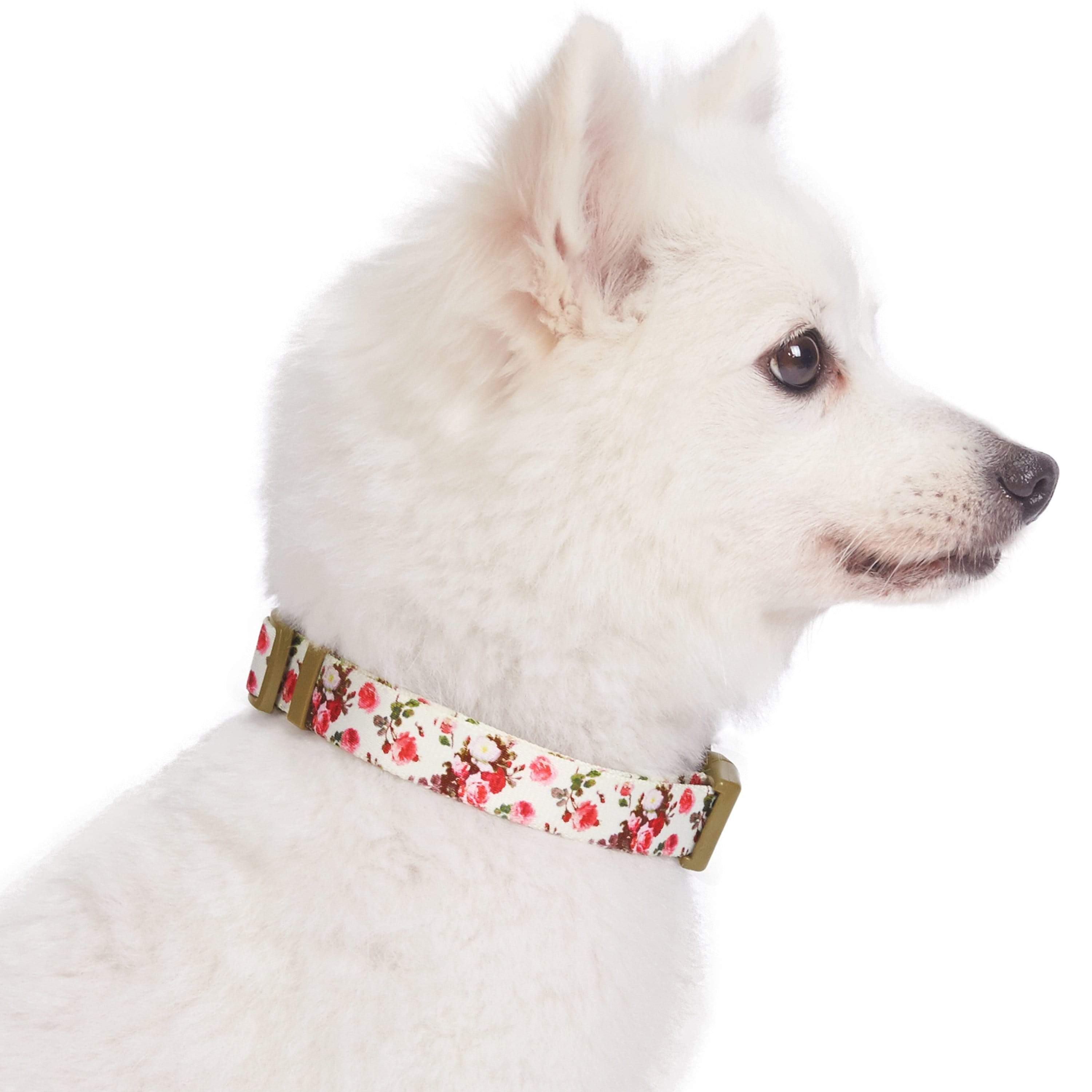 Blueberry Pet - Wholesale Halsband - Hond - Lichtgewicht verstelbare hondenhalsband met lente bloemenpatroon28