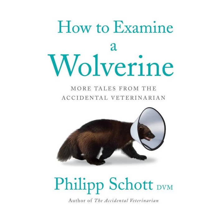 Microcosm Publishing & Distribution - Wholesale Pets - How to Examine a Wolverine: More Tales