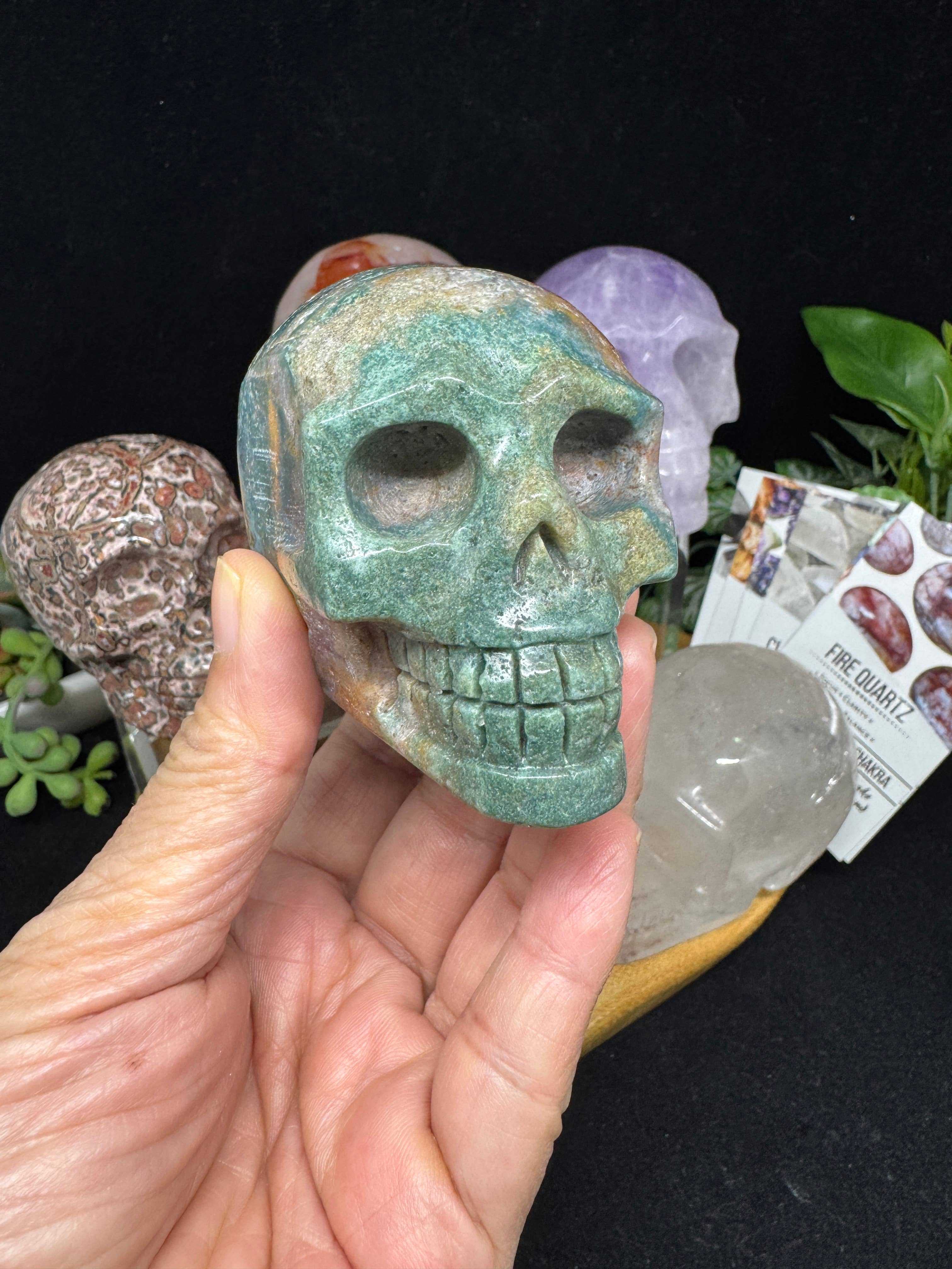 The 7 Directions - Wholesale Spiritual Stone/Crystal - 6 pc Ocean Jasper Leopardite fire quartz skull bundle G8052