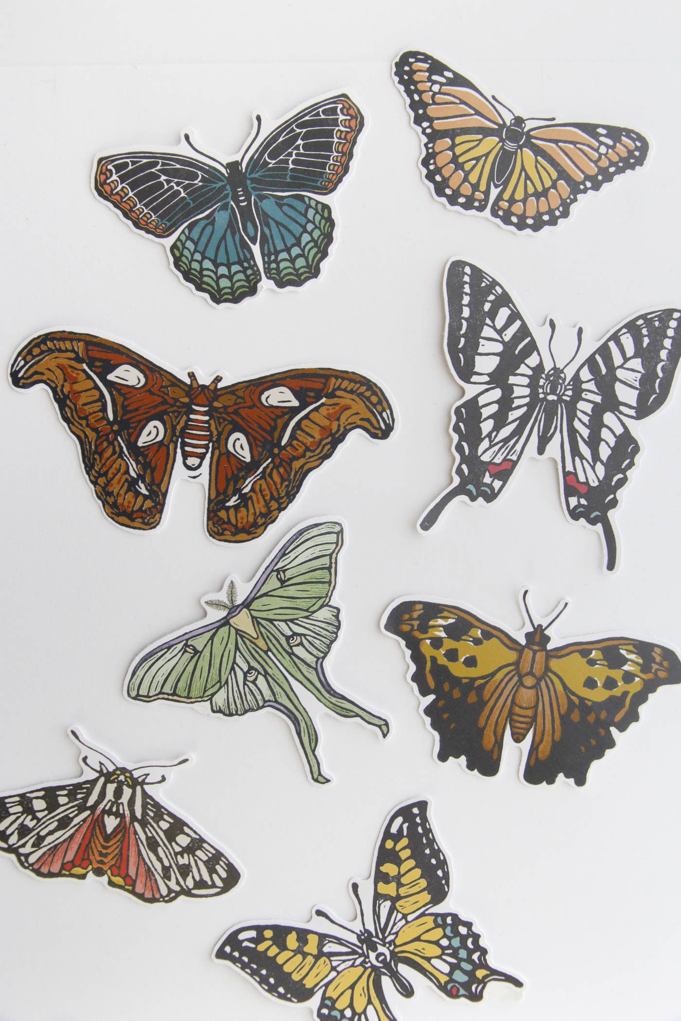 Root & Branch Paper Co. - Vendita all'ingrosso Adesivo - Adesivo Atlas Moth1