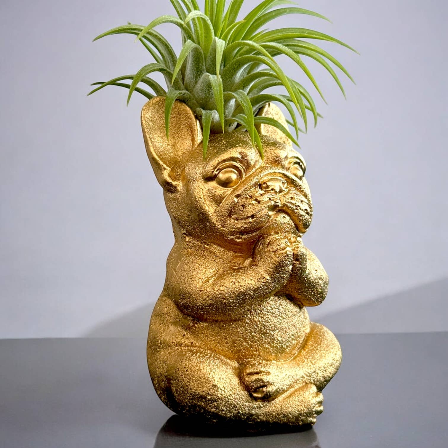 Planters Made in the USA - Wholesale Decorative figurine - Zen French Bulldog Air Plant Holder – Gold Praying Dog2