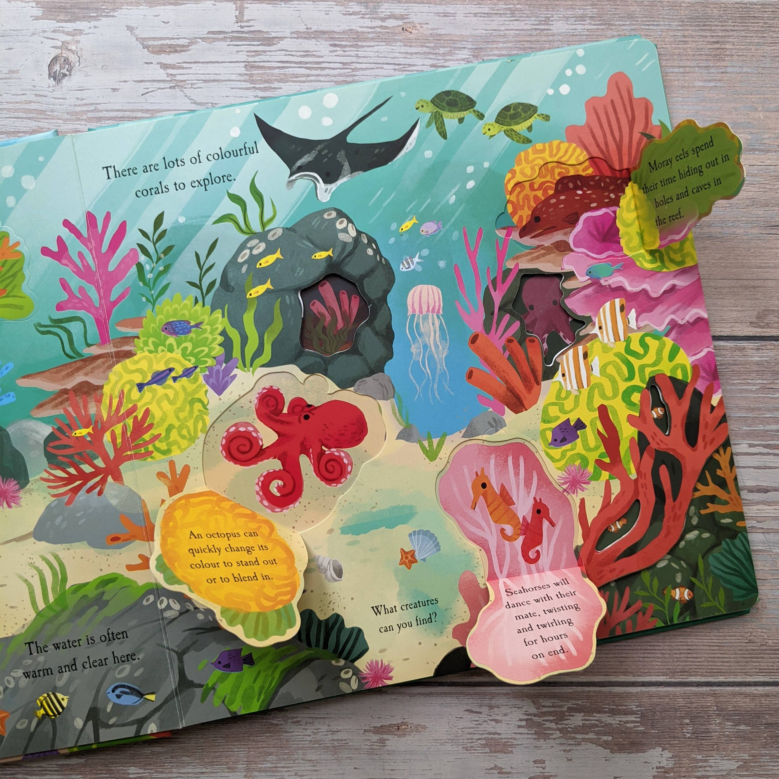 Robert Frederick Ltd – wholesale Preschool Book (3-5) – Nature Die Cut Book - Ocean1