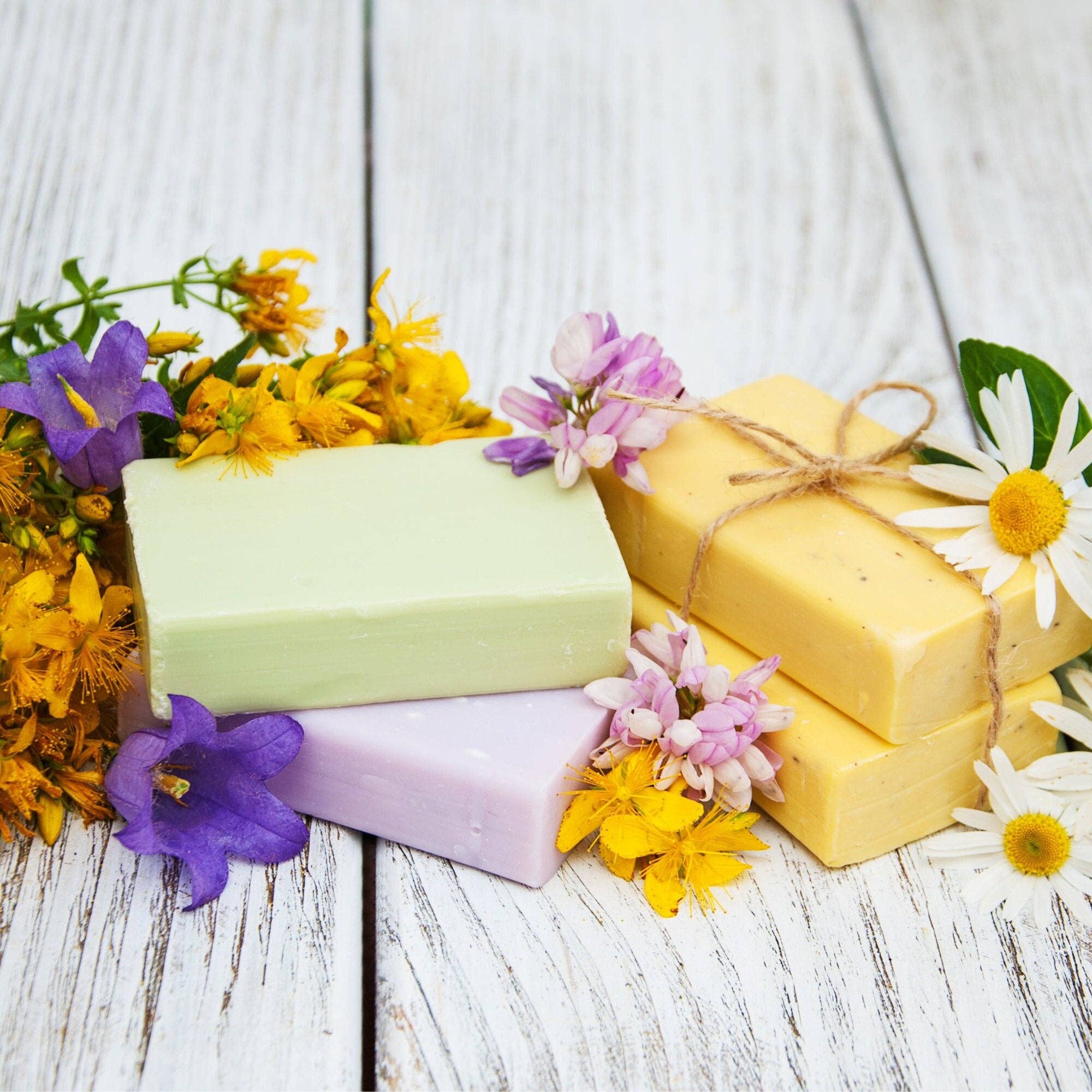 Amber Bath Co - Wholesale Shampoo Puck/Solid Shampoo - Shampoo Bars | With Botanical Extracts | Choice of Scent1