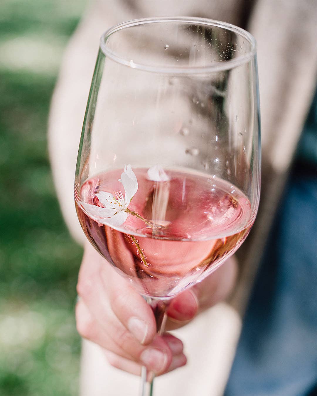 Kumaio® - Vendita all'ingrosso Vino rosé - Vino rosato secco5