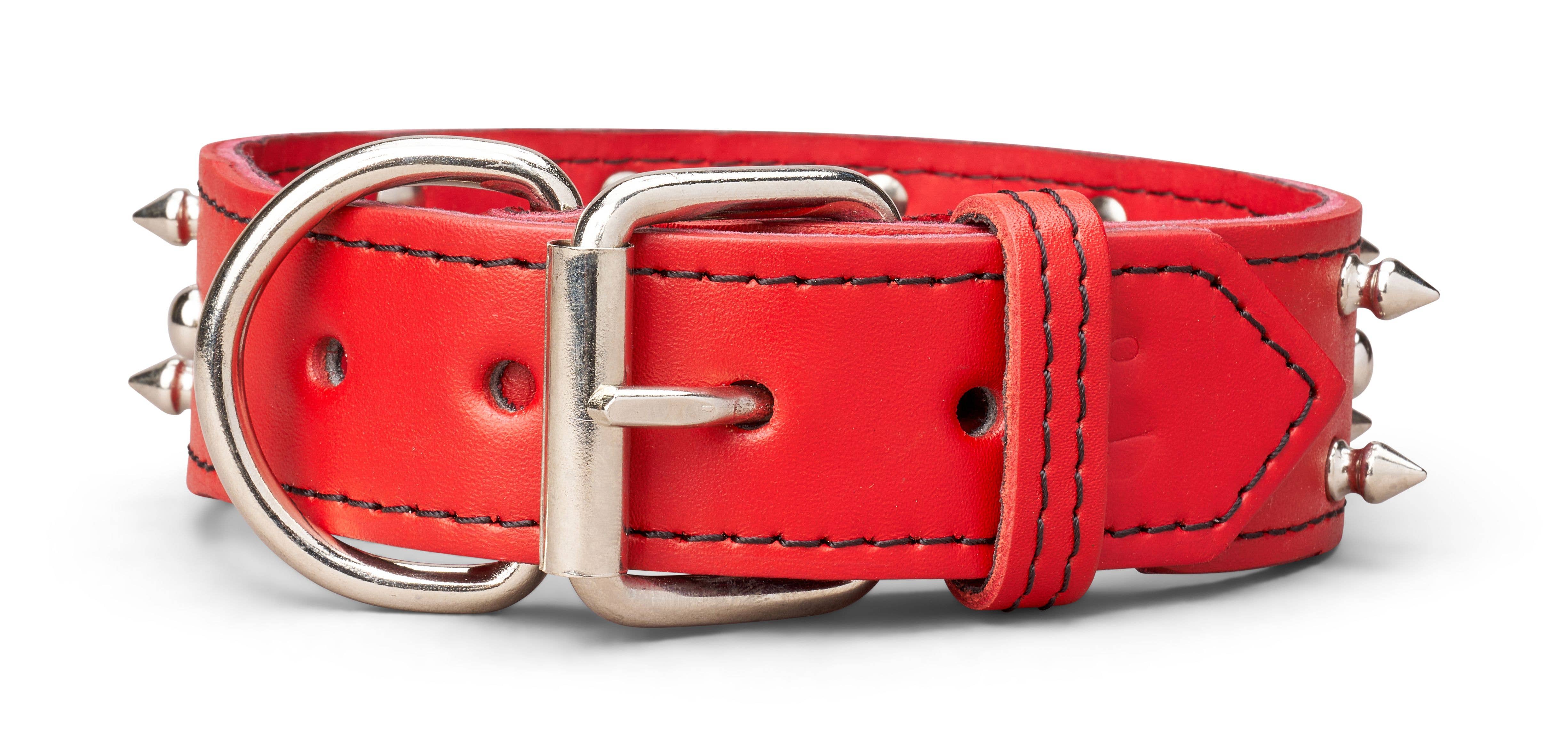 TOP DOG BRAND INC - Vente Collier – chien - Colliers en cuir à pointes de 1 3/4 pouce de large11