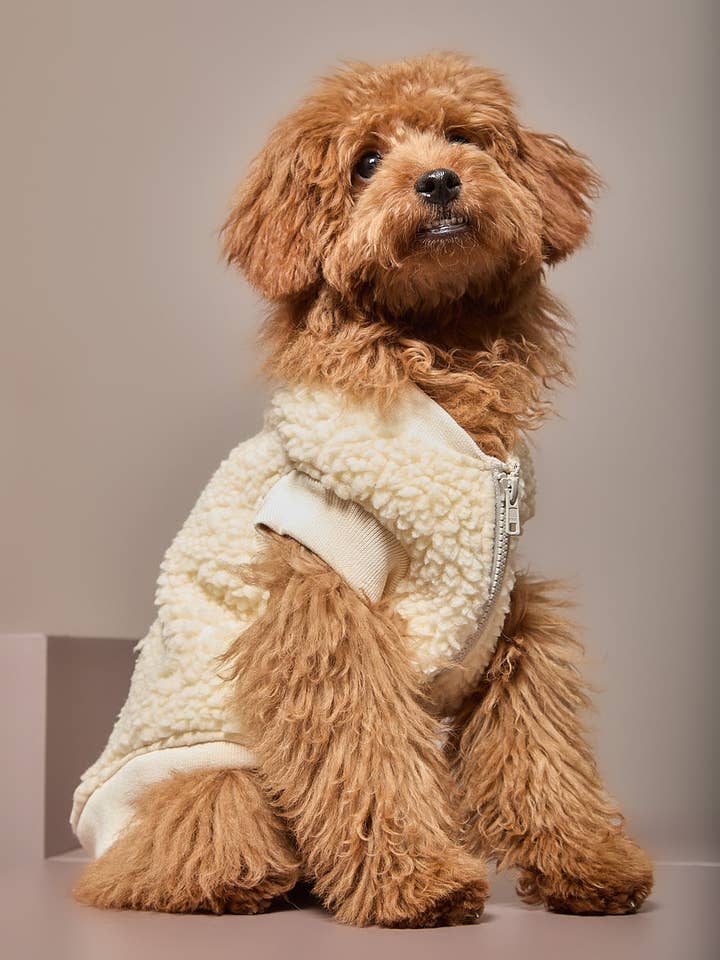 Elfenbeinfarbene Sherpa-Weste MILAN für den Großhandel von The Striped Dog