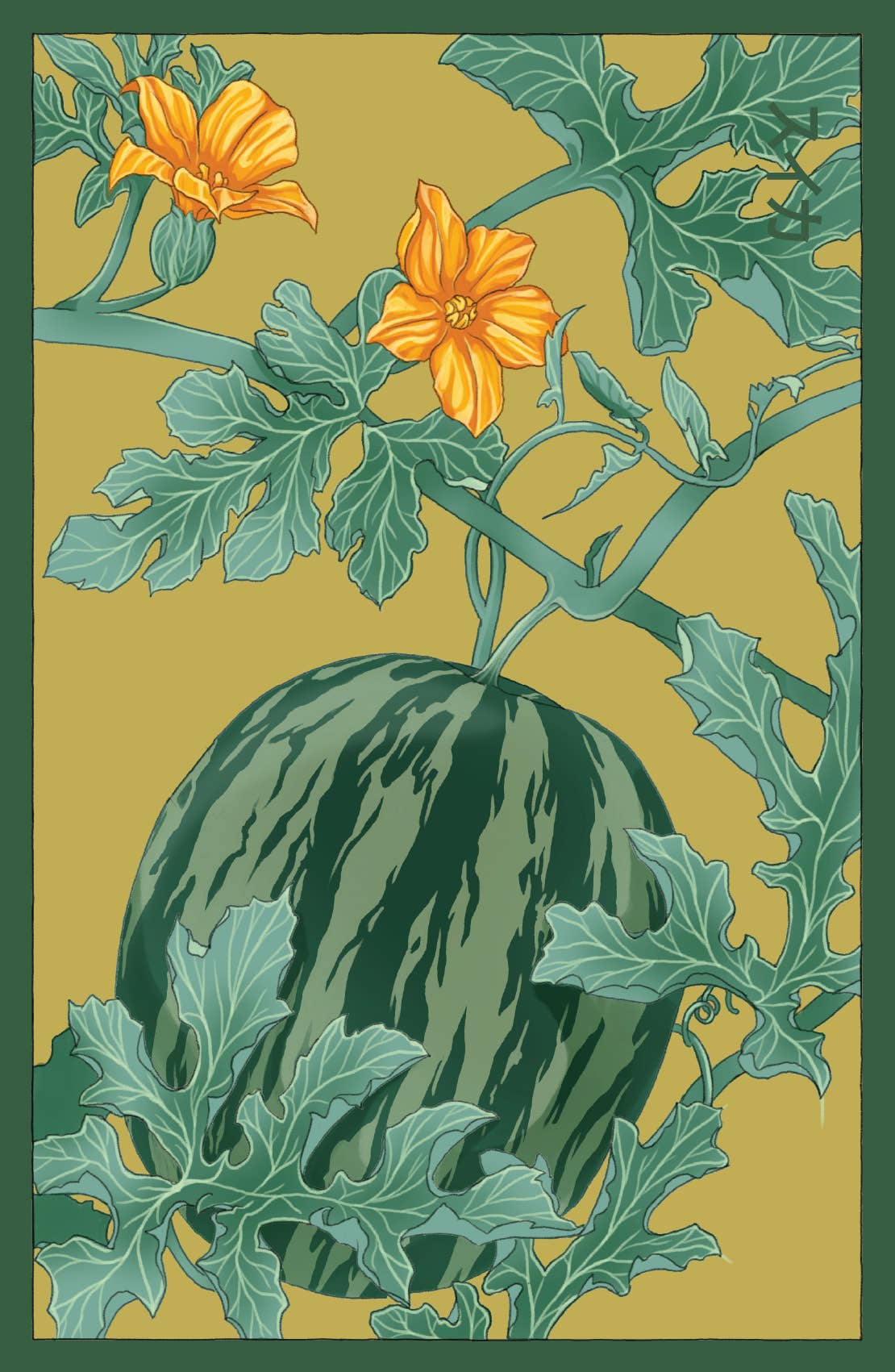 Chive UK – wholesale Plant seeds – Funky Seeds Packets - 48 Assorted10