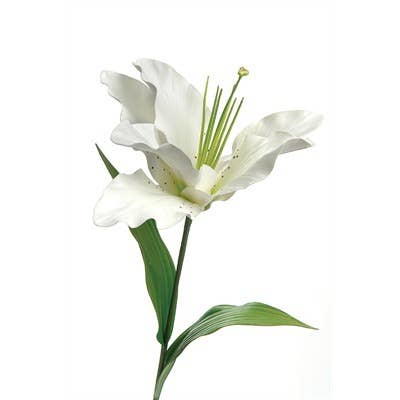 Studio Specialties - Wholesale Artificial Flowers - GIANT LILIUM LT GREEN & WHITE0