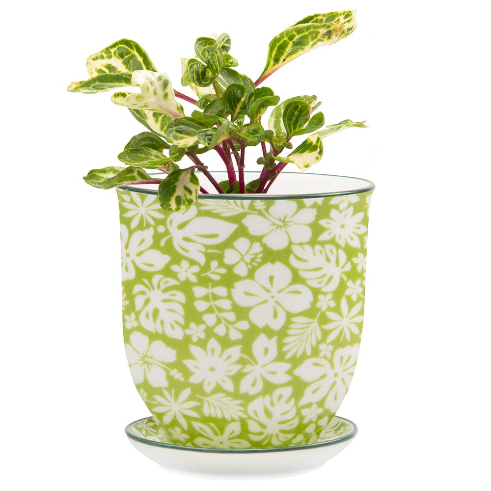 Chive UK – Großhandel Blumentopf – Liberte 3 - Keramik-Blumentopf mit Untersetzer und Abflussloch21