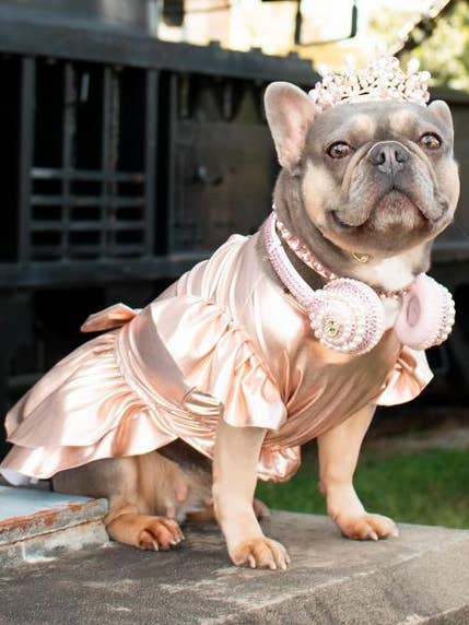 ROBE ROSIE pour la vente par Maxine Avenue NYC by Funari