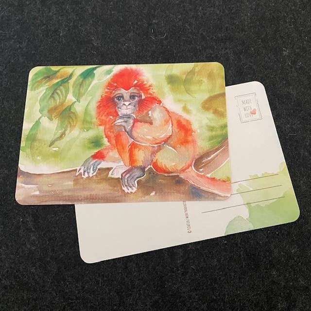 Tarjeta postal «Aeffchen» para venta al por mayor de TiTaTier®