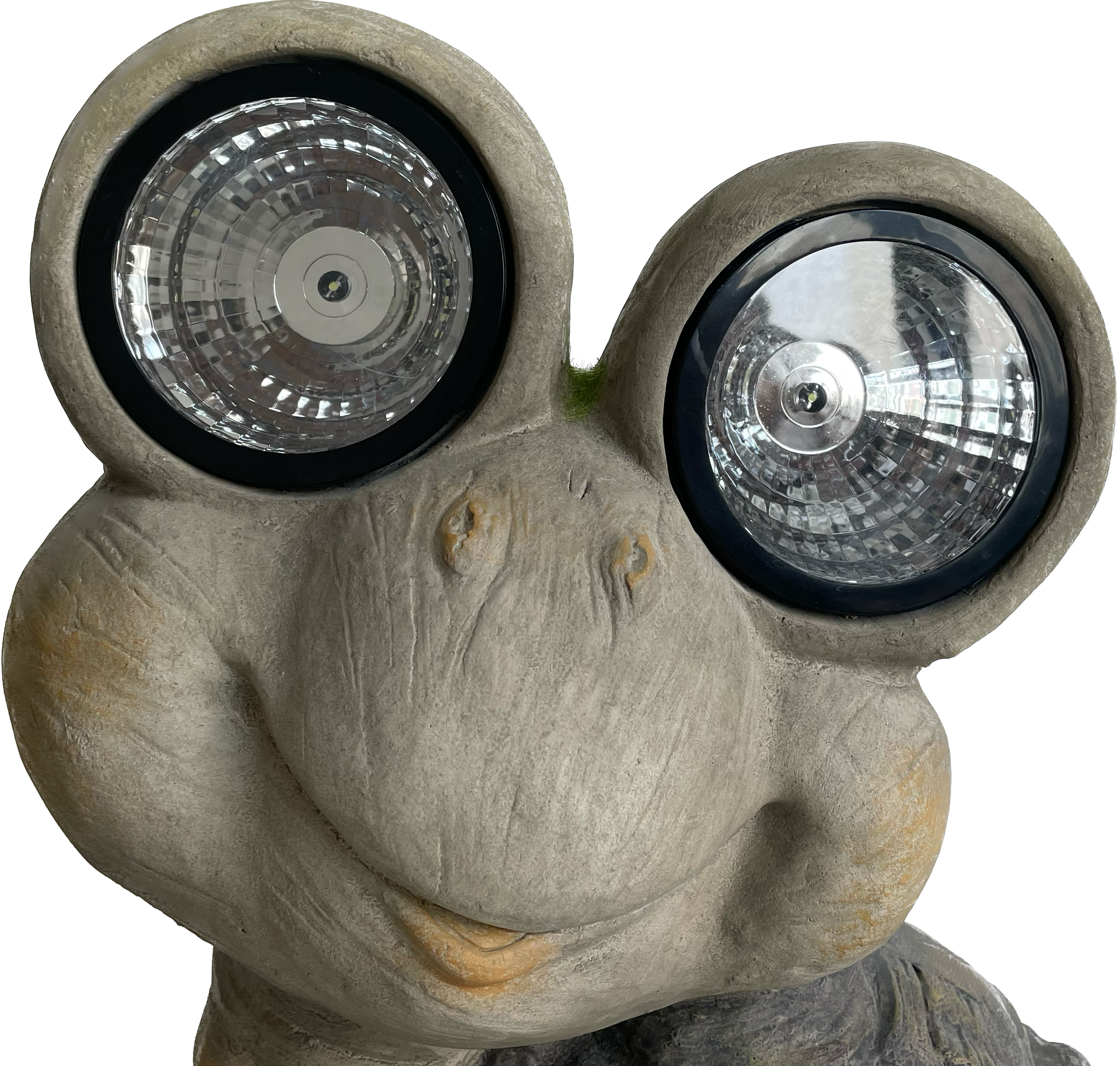 Galt International Company - Wholesale Outdoor Ornament/Decor - Mossy Turtle with Solar LED Eyes Garden Statue 15.75"7