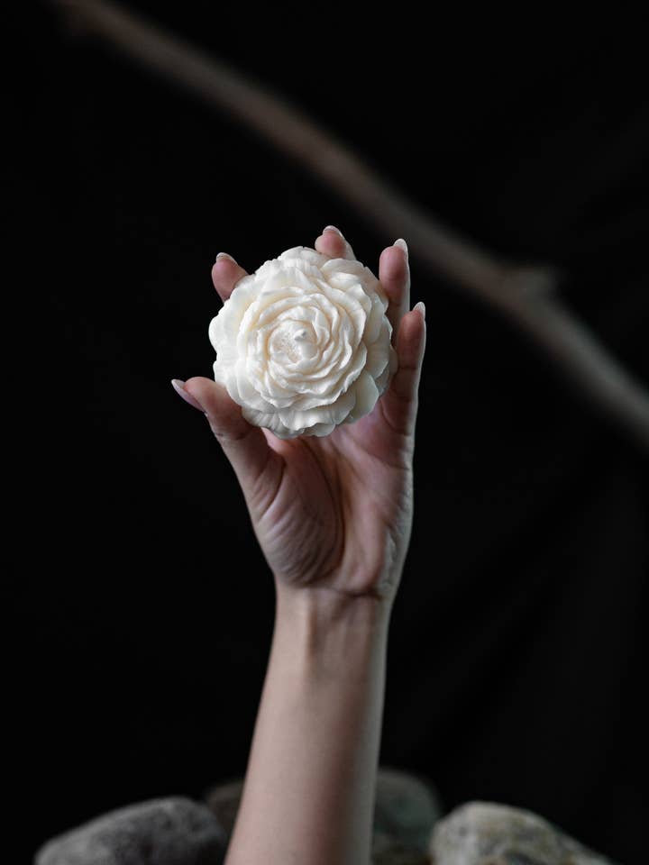 Bloom für den Großhandel von noosh.studio