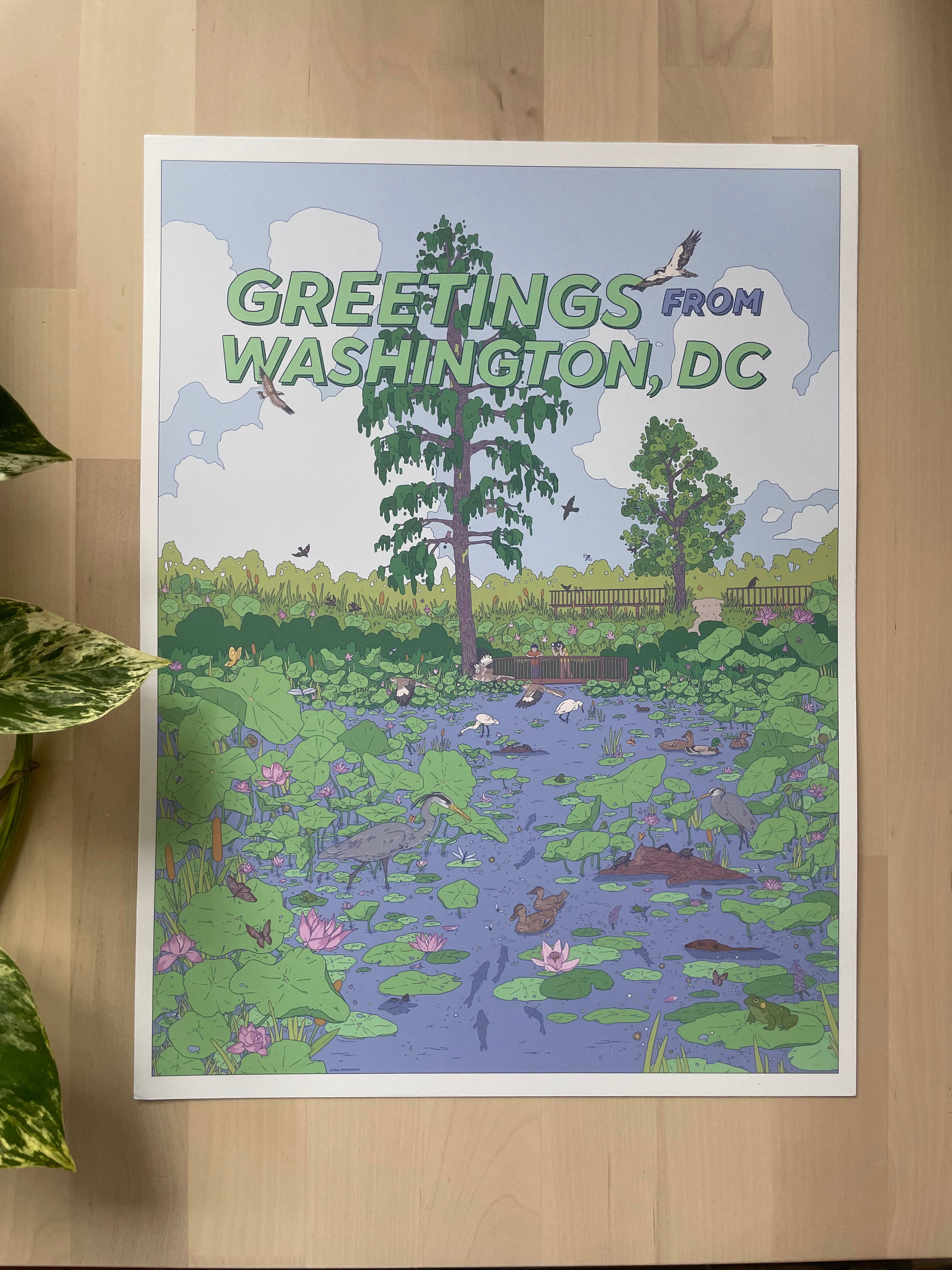Lydia Tonkonow Art and Design LLC - Wholesale Art Print - Washington DC (Kenilworth Aquatic Gardens) - 12x16" Print1