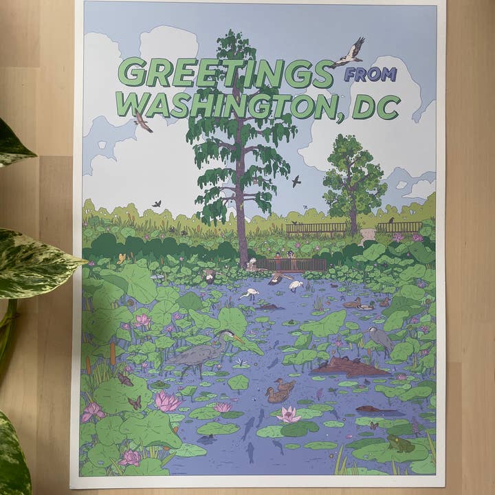 Lydia Tonkonow Art and Design LLC - Wholesale Art Print - Washington DC (Kenilworth Aquatic Gardens) - 12x16" Print1