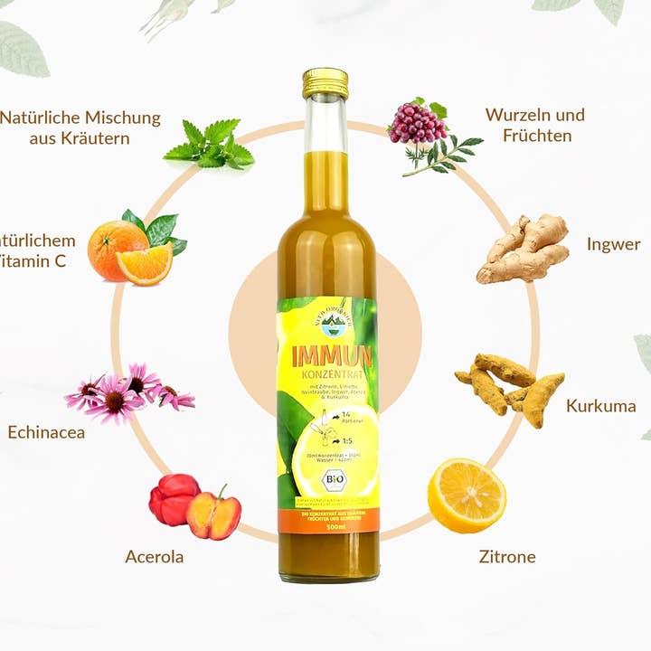 JAMU GmbH – Großhandel Wellness-Saft/Tonikum – Bio Ingwer Kurkuma Konzentrat 500 ml