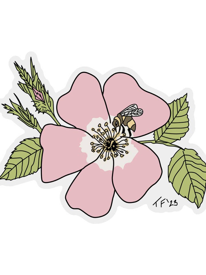 Sticker Sweet Briar Rose, Botanical for wholesale by Toute-Petite