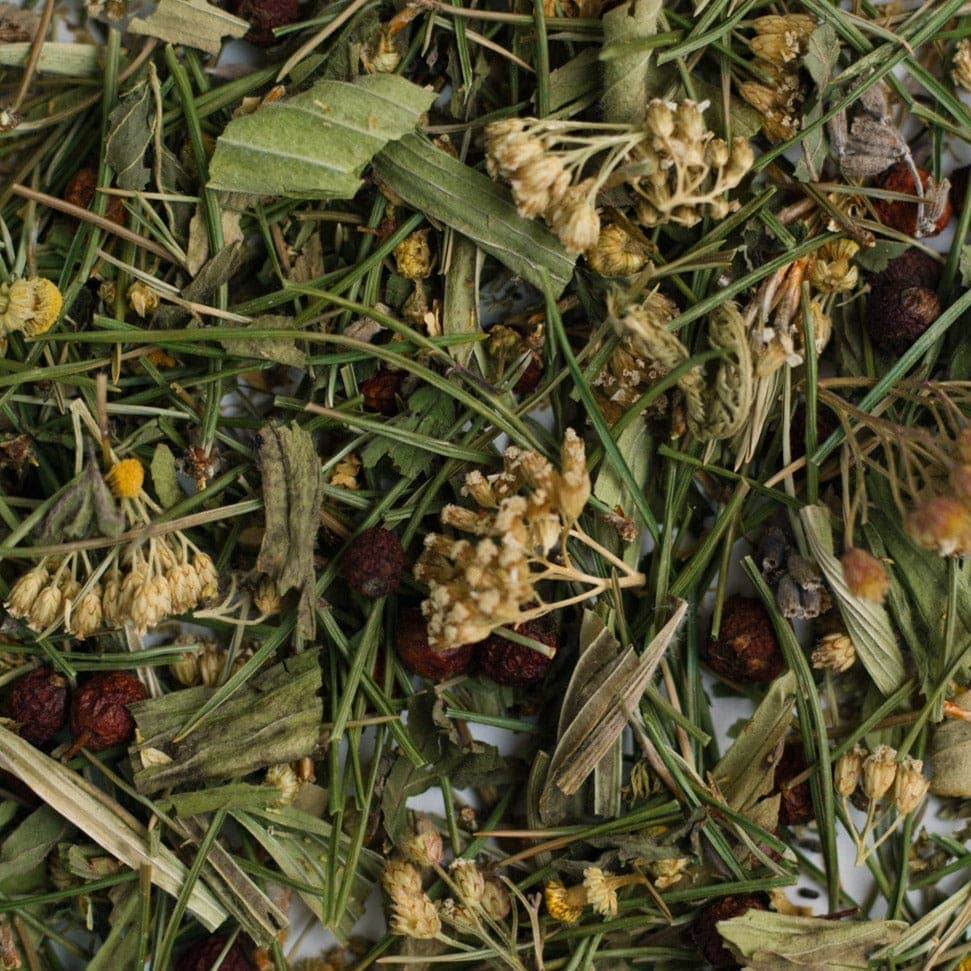 Seilich – wholesale Loose tea – Hedgerow Blend Tea2