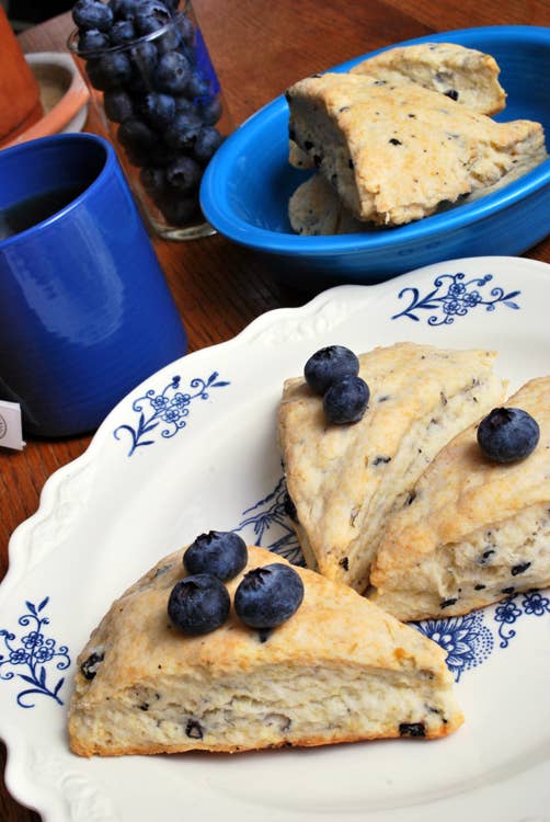Rabbit Creek Gourmet - Wholesale Bread Mix - SCO-Blueberry Cream Scone Mix1