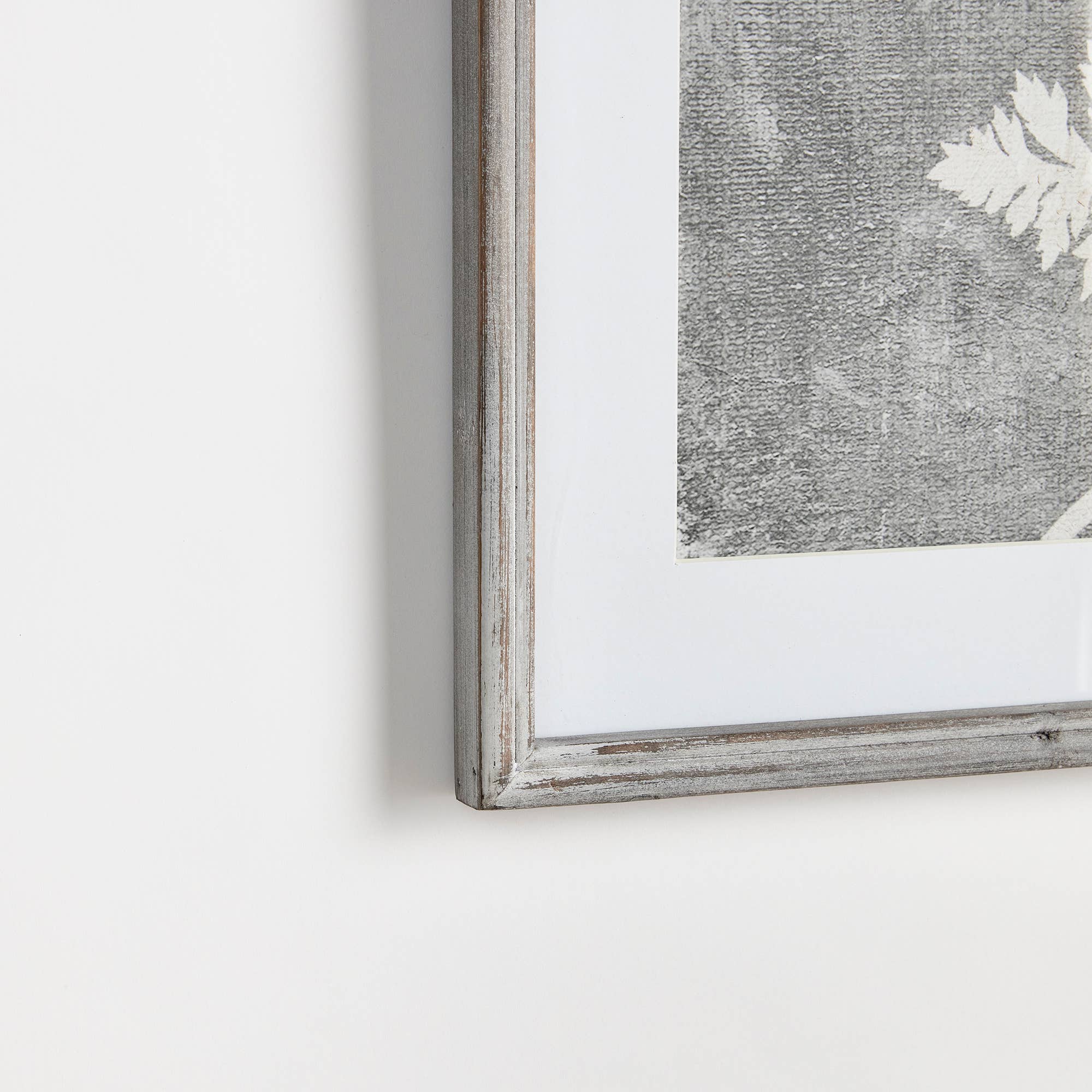 GRAY Blooming Queen Anne'S Lace Prints for wholesale on Faire2