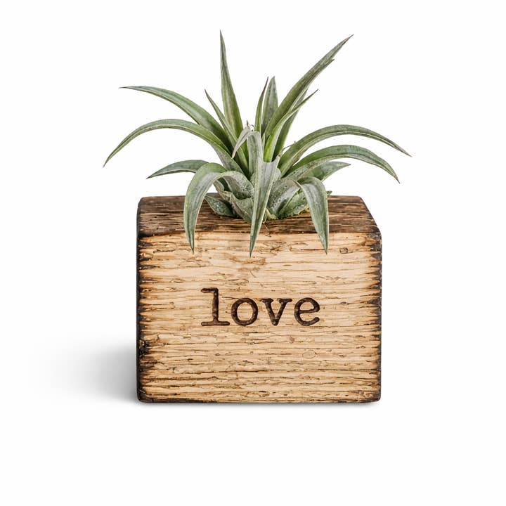 Soporte para plantas de aire grabado en madera recuperada para venta al por mayor de Spiritual Whiskey