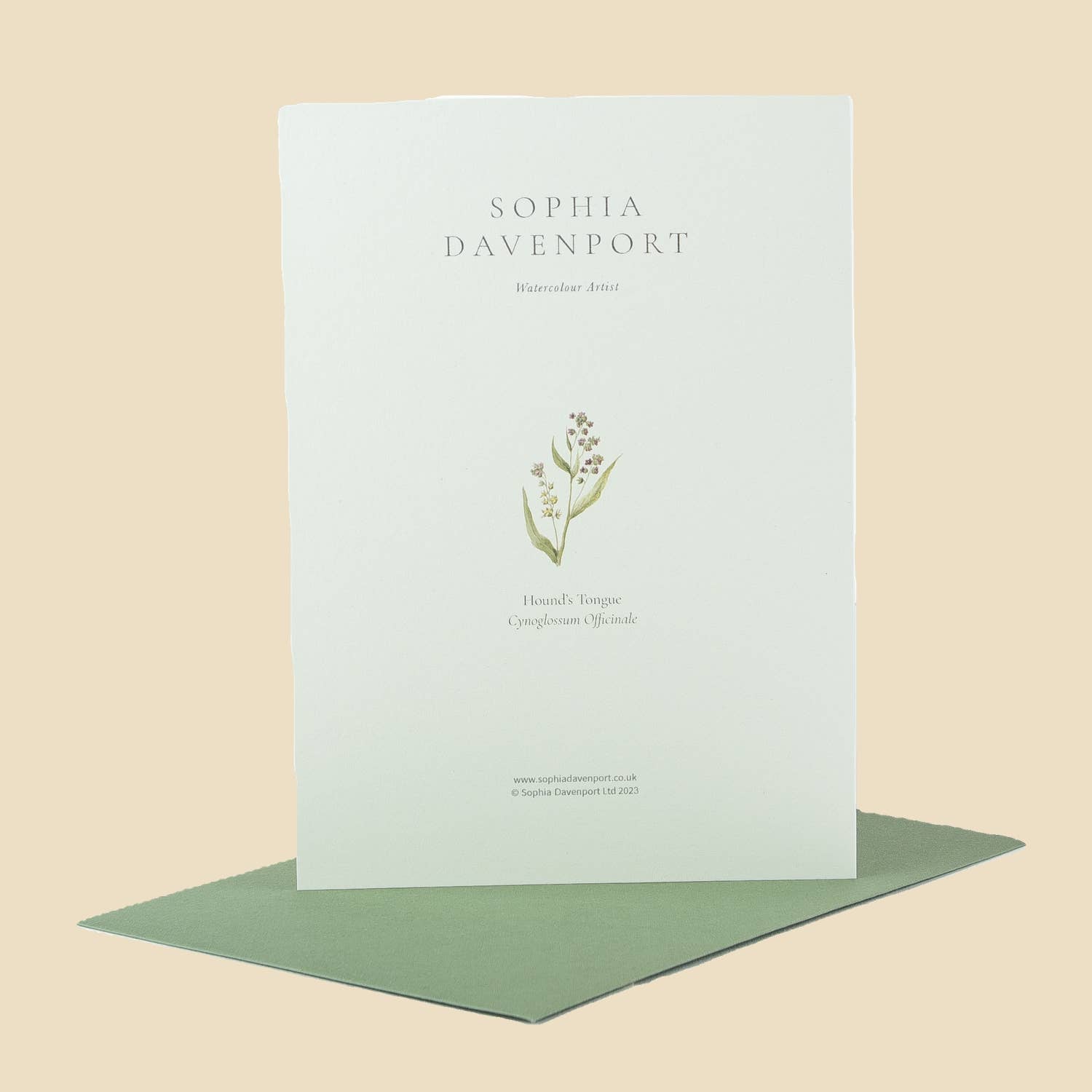 Sophia Davenport - Wholesale Everyday Greeting Card - Wildflower Greeting Cards and Notelets33