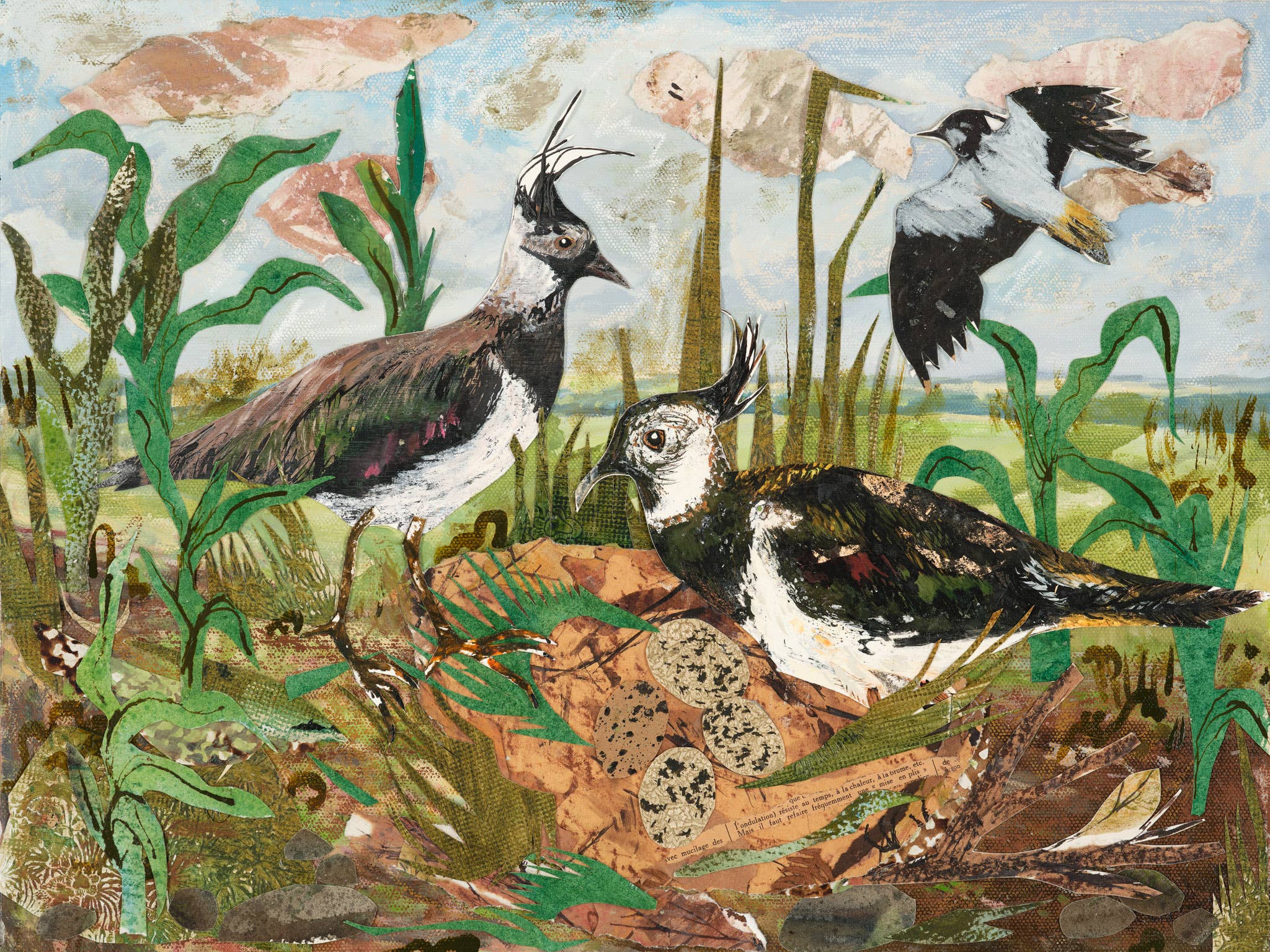 Clare O’Neill Artworks - Vente Carte de vœux classique - Carte de vœux vierge A6 Lapwing Nest 1