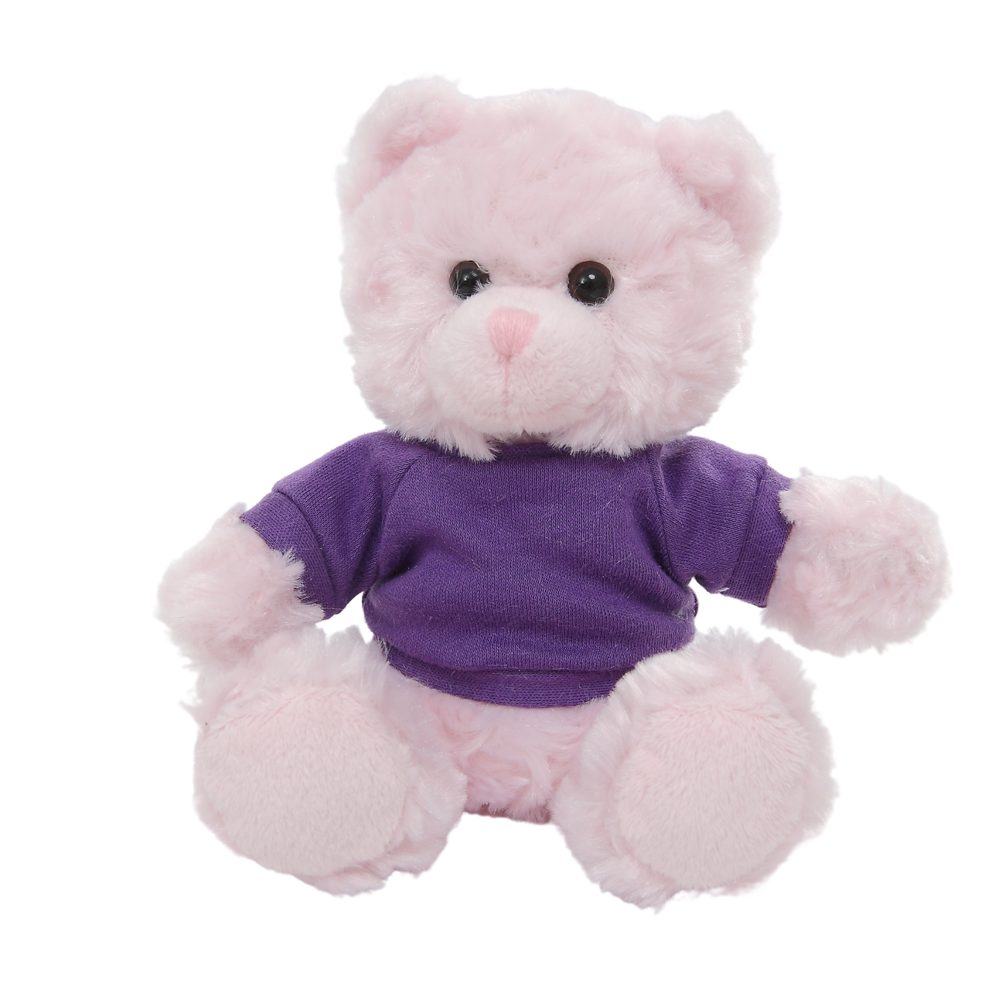 Plushland – wholesale Fyllda/plyschleksaker - Barn och baby – 12" Personlig nallebjörn i T-shirt | Anpassad plyschbjörn81