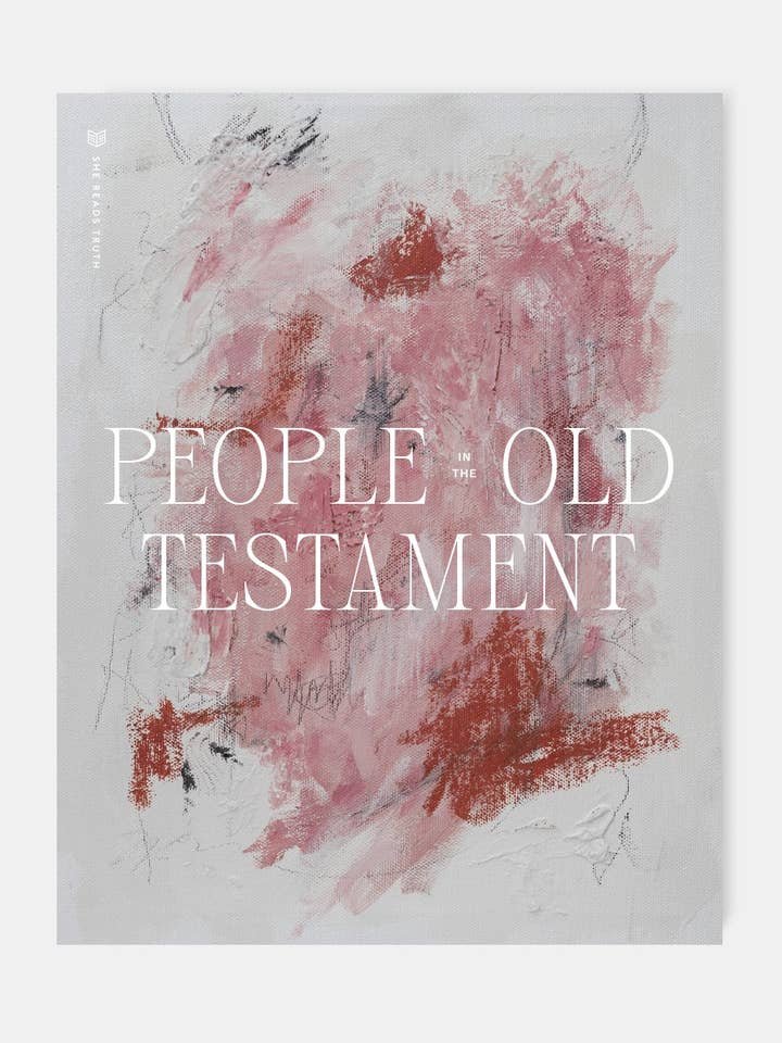 People in the Old Testament Women's Reading Guide for wholesale by She Reads Truth
