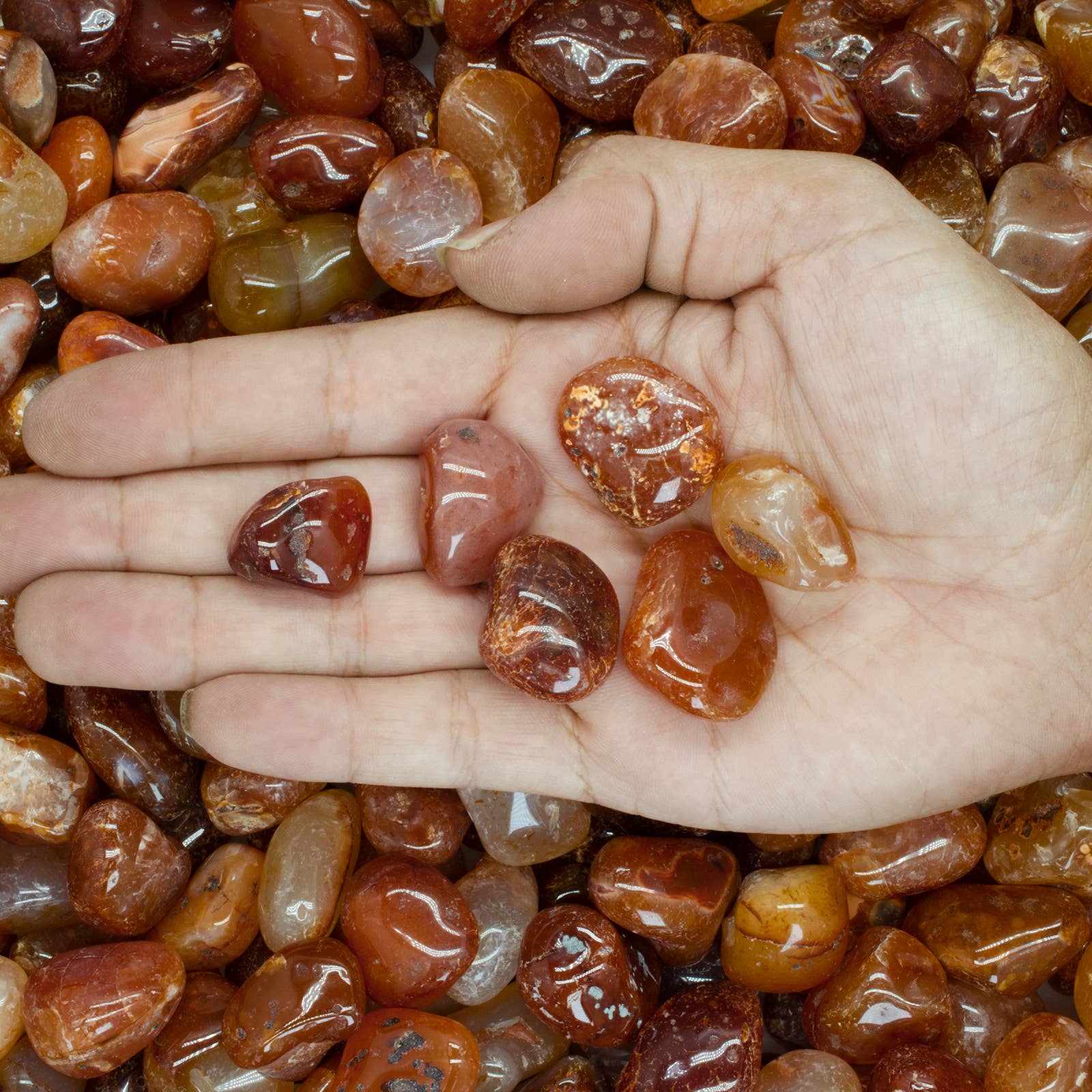 Fantasia Mining - Wholesale Spiritual Stone/Crystal - Tumbled Carnelian - S - B Grade - Brazil (1 lb)1