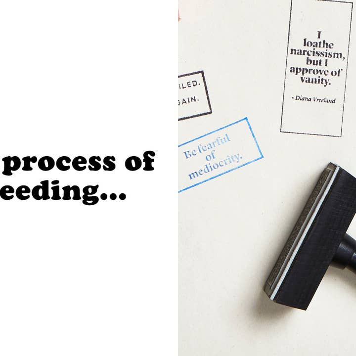 Wms&Co. - Vendita all'ingrosso Timbro in gomma/decorativo - Timbro di Gomma con Citazione Filosofica - Rettangolare17