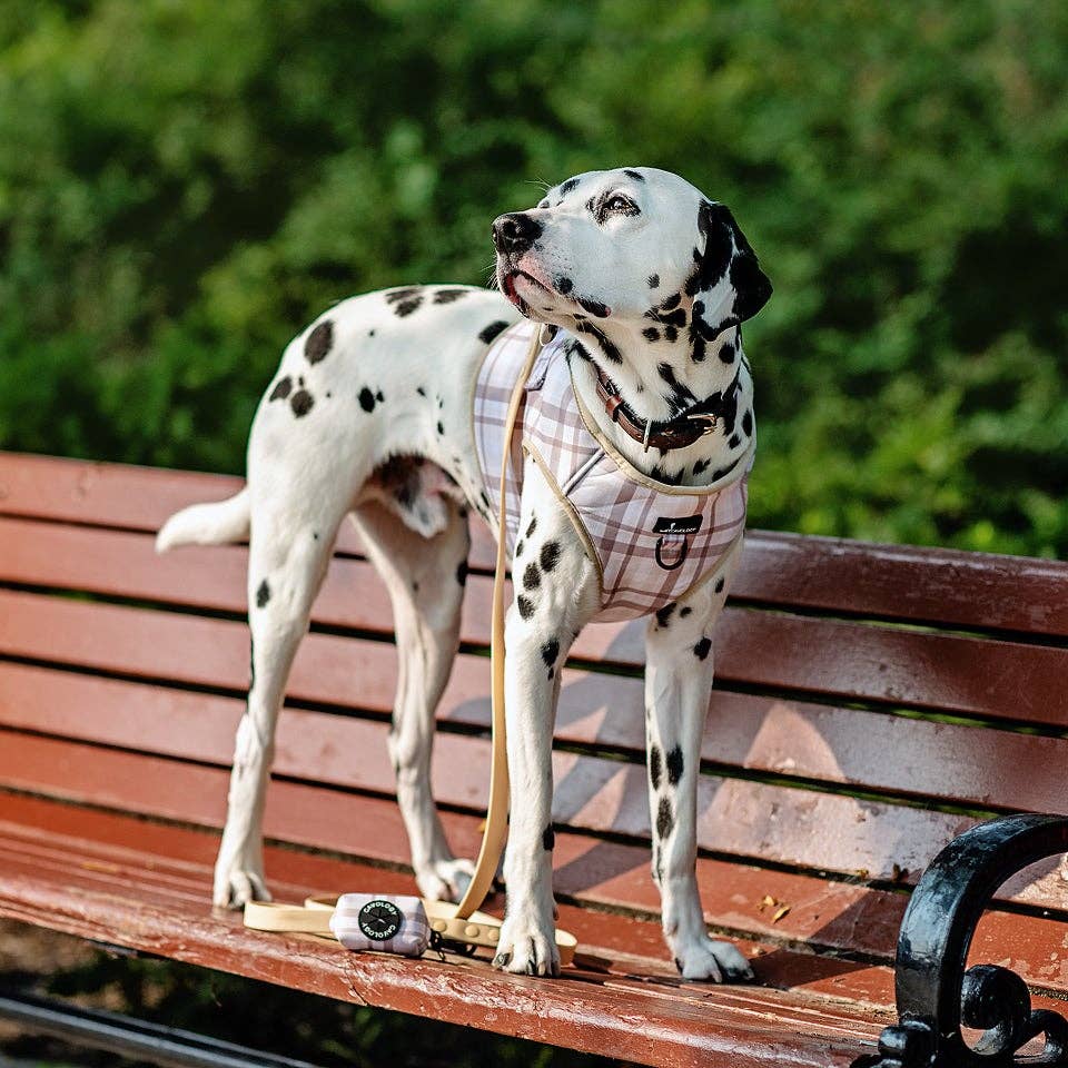 Cavology - Vente Harnais – chien - Harnais gilet à enfiler pour chien, carreaux crème beige London Fog2