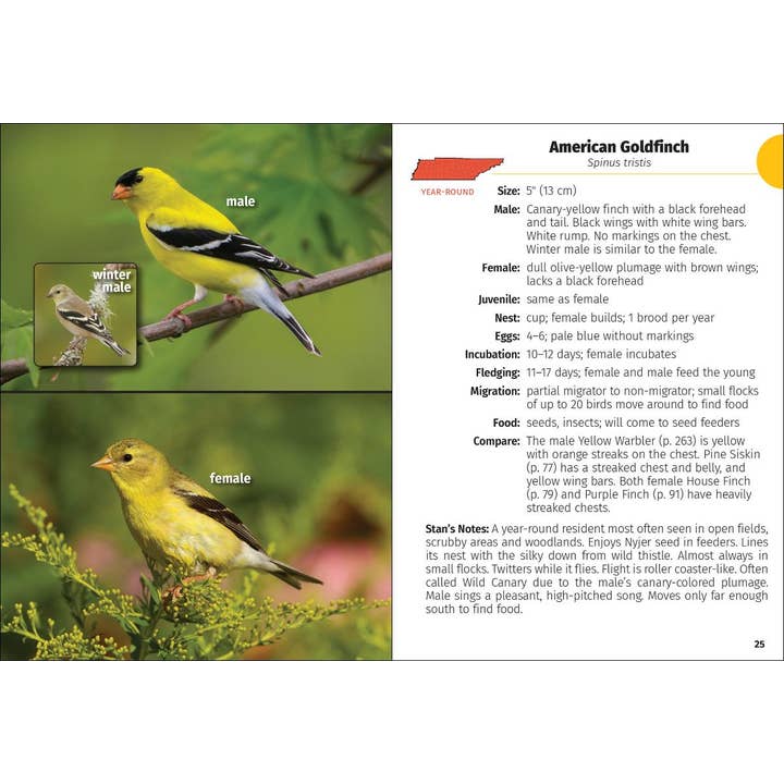 AdventureKEEN - Wholesale Nature Guide - Birds of Tennessee Field Guide 2e