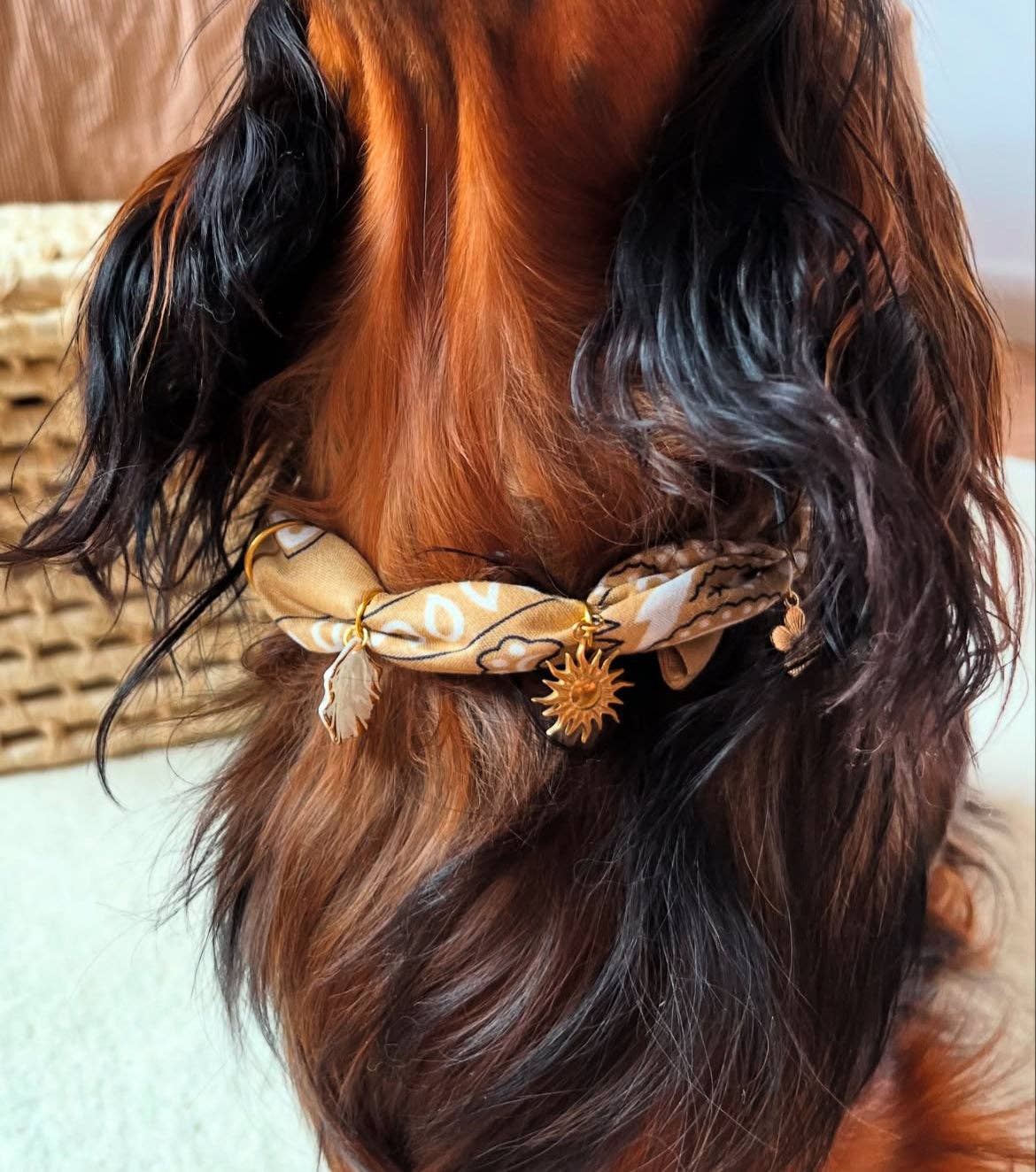 Aura - Wholesale Pet Bandana - Dog - Beige Dune Tie-On Bandana-Collar for Dogs and Cats9