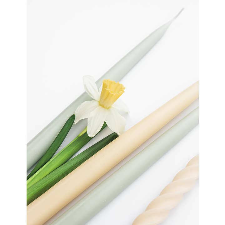 Twilight Collection - Wholesale Tapered candle/candlestick - Ivory Danish Taper Candle | 12 Pack2