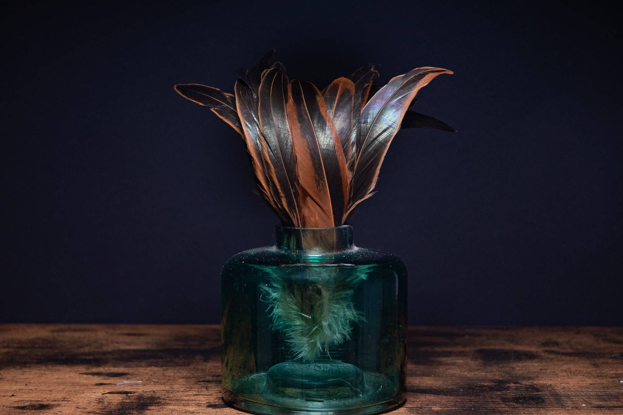 Plumes Naturelles – Engroshandel Tørrede/pressede blomster – Hanefjer i naturlige farver2