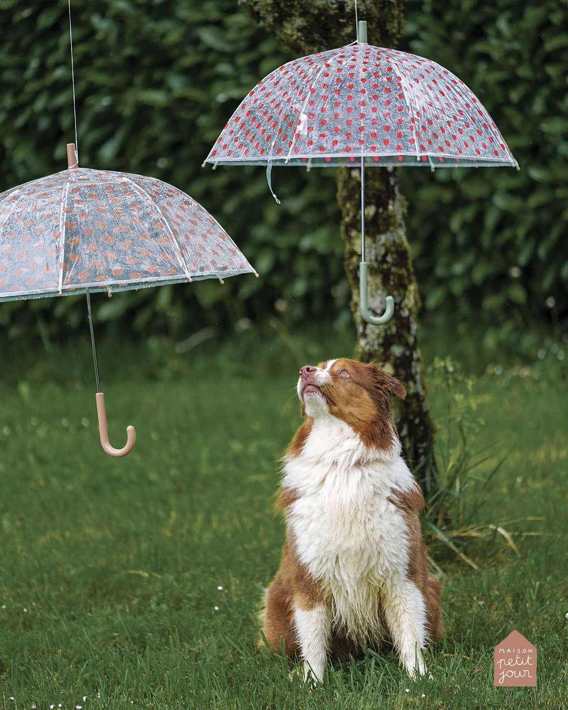 Multicoloured AH022R UMBRELLA THE HEDGEHOGS for wholesale on Faire3