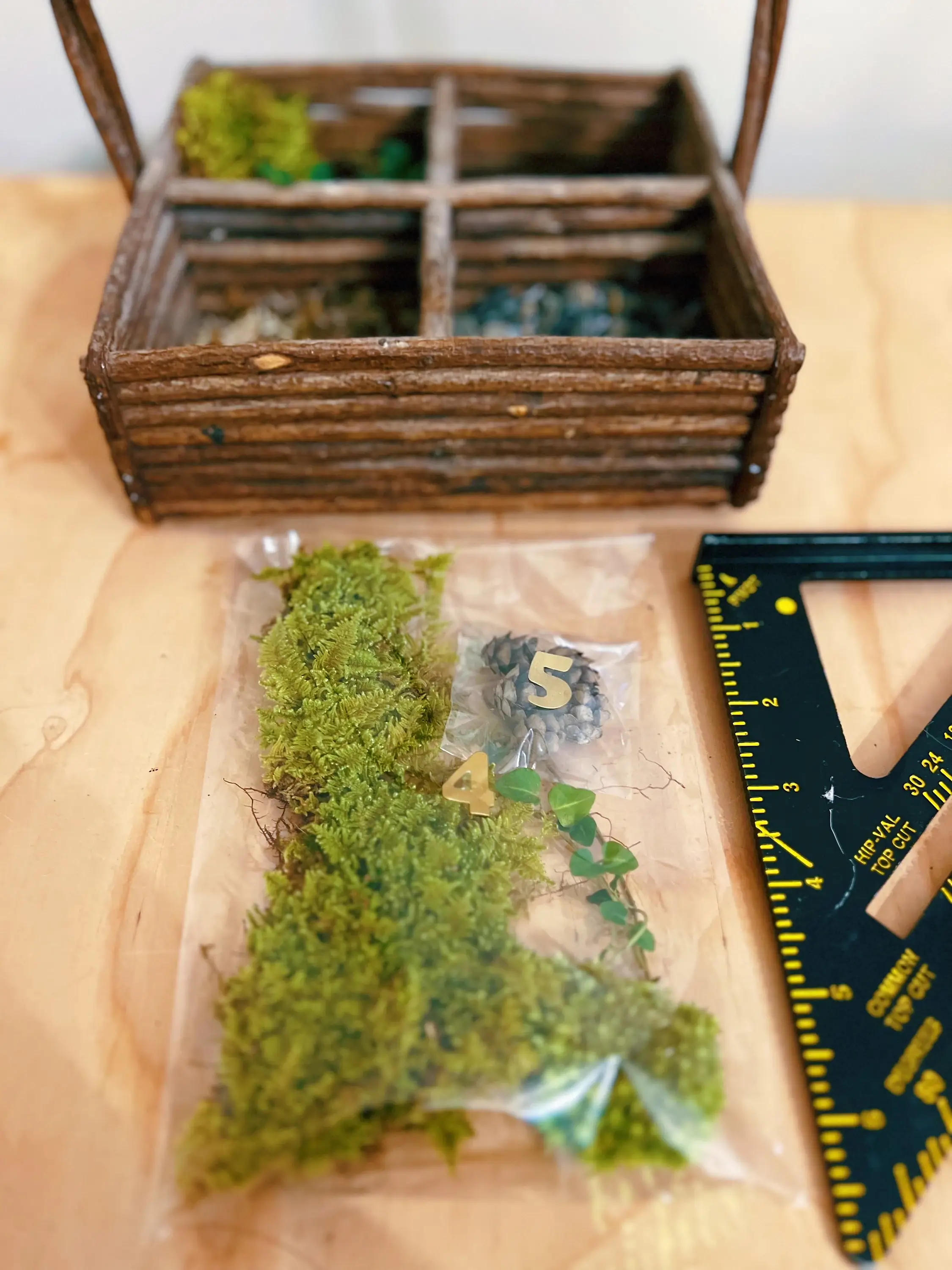 Moss & Stone Gardens - Wholesale Terrarium - DIY Moss Terrarium Supply Kit – Live Moss & Forest Accents 3