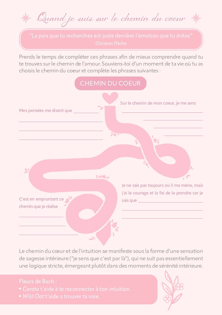 AVENTURA ÉDITIONS - Wholesale Notebook - Wellness Journal7