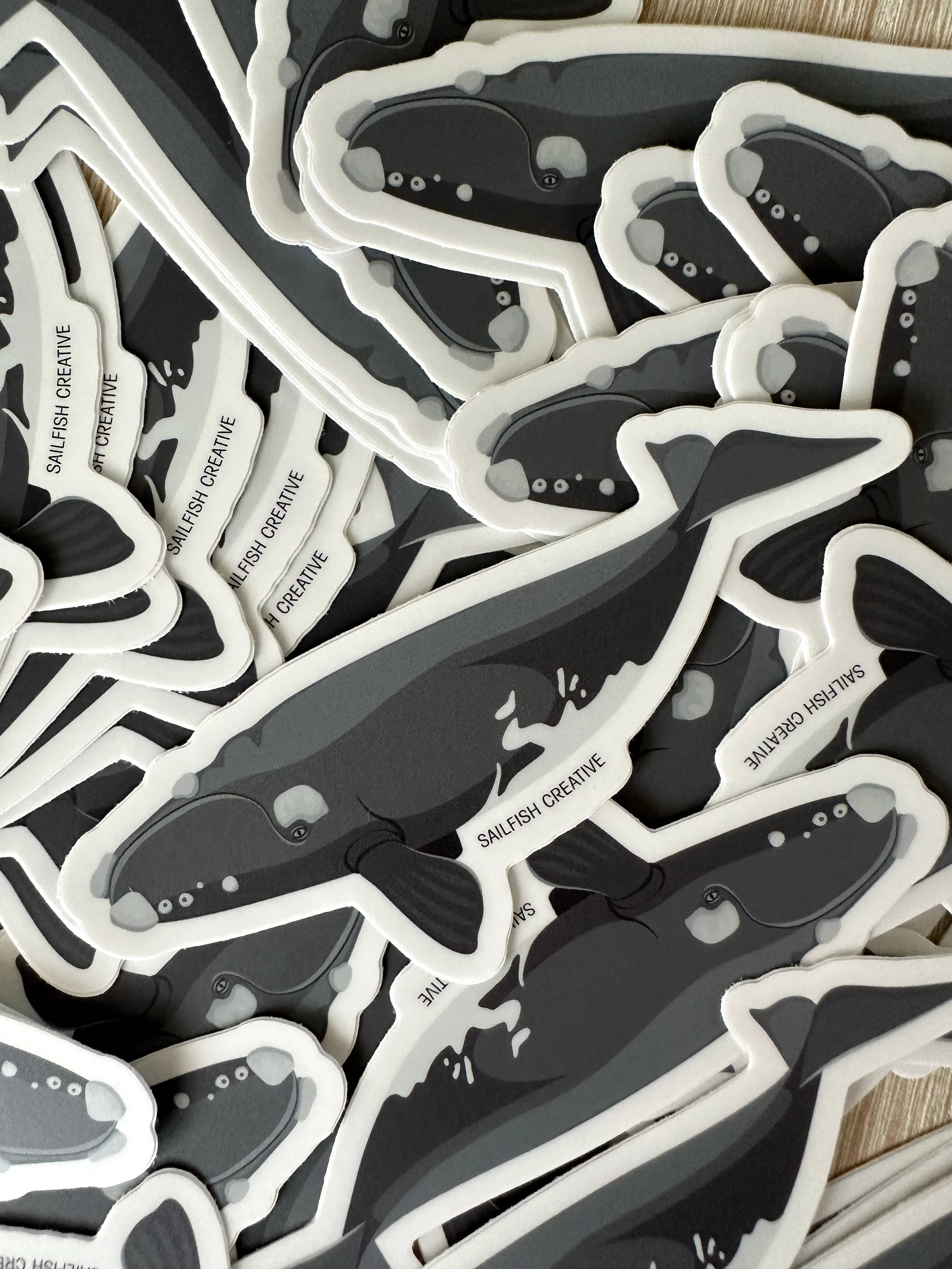 Sailfish Creative - Wholesale Sticker - Sticker - Southern Right Whale1