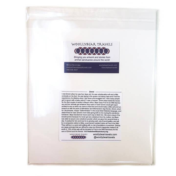 Woollybear Travels - Wholesale Art Print - Zebra Fine Art Print – Zimmi1